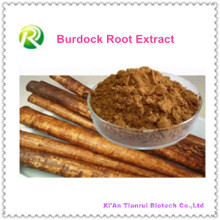 100% natürliche Klette Root Extract Arctiin